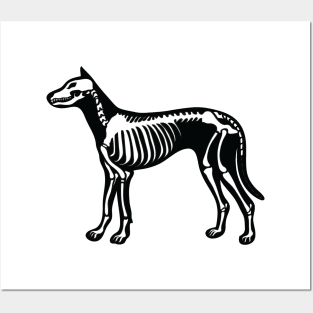 Skeleton Dog Posters and Art